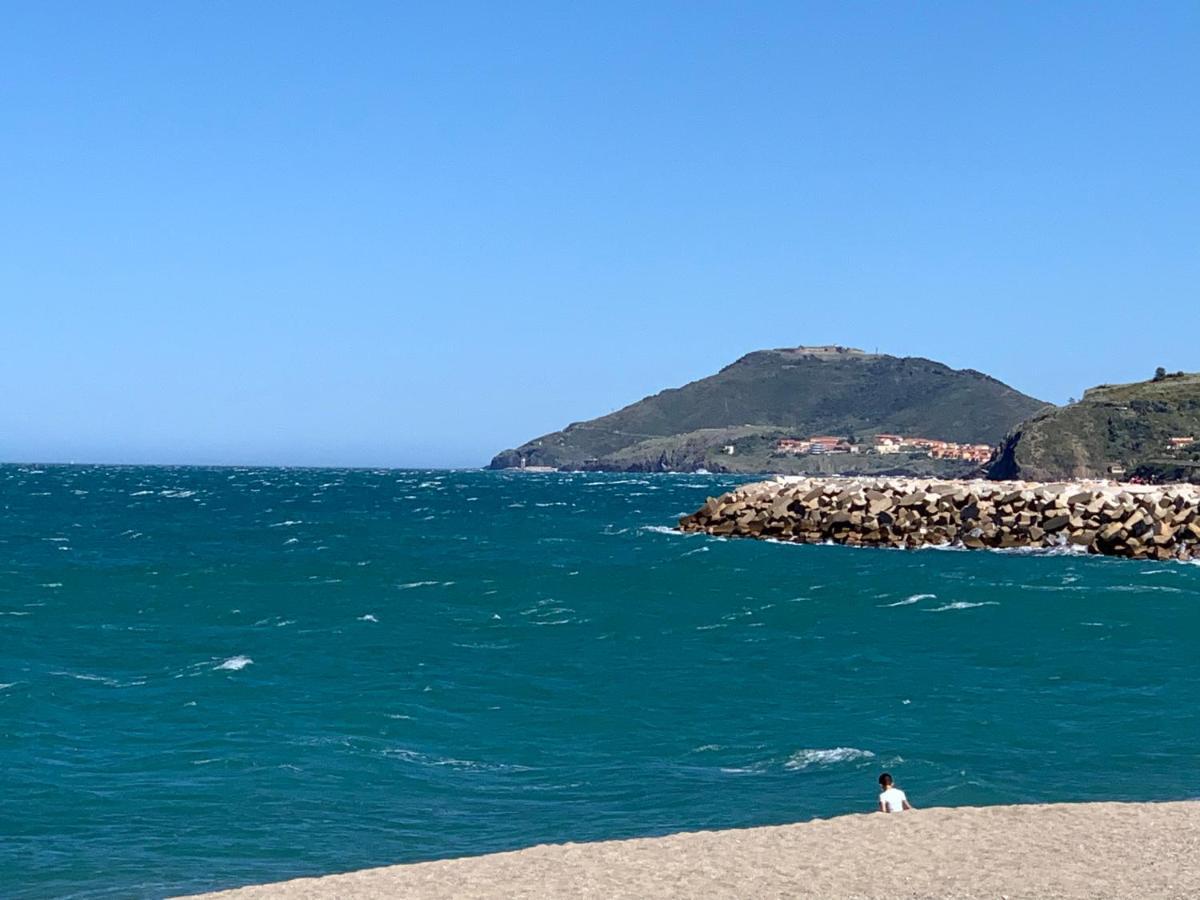 Plein Sud By Bellavista - 400 M De La Plage - Terrasse - Parking Argelès-sur-Mer Exteriör bild
